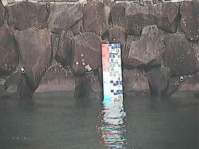 芦の湖付近(望遠) [Lake Ashinoko] のカメラ画像