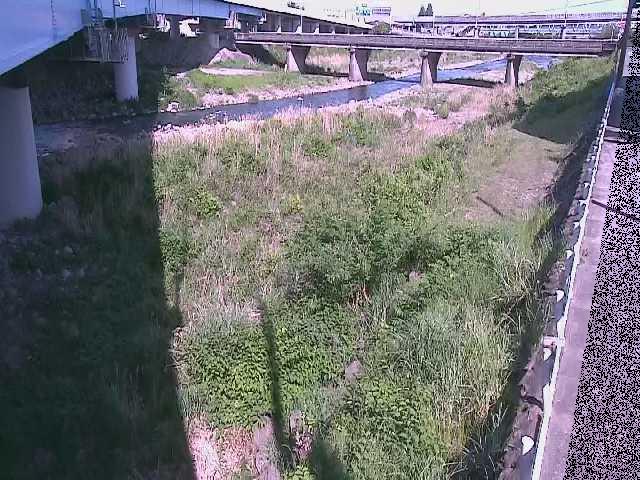 大窪橋付近 [Okubo Bridge] のカメラ画像