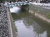矢上川 中吉橋付近のカメラ画像
