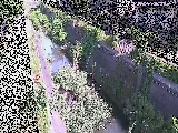 真光寺川 矢崎橋付近のカメラ画像