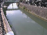 平作川 根岸歩道橋付近のカメラ画像