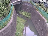 松越川 新佐島橋付近のカメラ画像