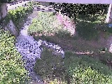 不動川 泉橋付近のカメラ画像