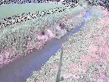 座禅川 土屋窪橋付近のカメラ画像