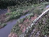 小出川 一ツ橋付近のカメラ画像