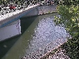 境川 境川橋付近のカメラ画像
