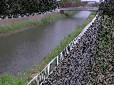 小出川 新鶴嶺橋付近のカメラ画像