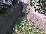 神戸川 大津橋付近のカメラ画像