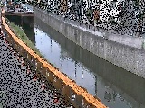 境川 境橋付近のカメラ画像