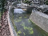 蓼川 松山橋付近のカメラ画像