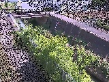 永池川 永池橋付近のカメラ画像