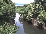 鳩川 海老名分水路付近のカメラ画像
