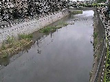 引地川 大山橋付近のカメラ画像