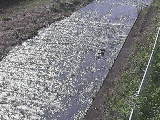 尺里川 水上橋付近のカメラ画像