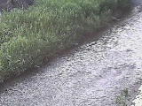 皆瀬川 堀割橋付近のカメラ画像