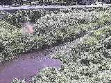 中村川 雑色付近のカメラ画像