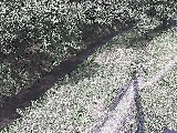 滝沢川 滝沢橋付近のカメラ画像