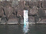 芦の湖 芦の湖付近(望遠)のカメラ画像