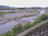 酒匂川 富士道橋付近のカメラ画像