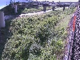 早川 大窪橋付近のカメラ画像