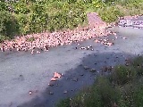 早川 宮城野付近のカメラ画像
