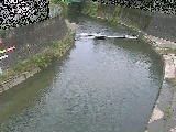帷子川 宮崎橋付近のカメラ画像