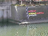 帷子川 元平沼橋付近のカメラ画像