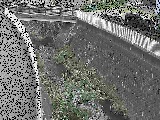 中堀川 愛宕白根橋付近のカメラ画像
