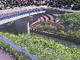 鶴見川 寺家橋付近のカメラ画像