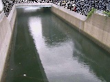 大岡川分水路 屏風ヶ浦橋付近のカメラ画像