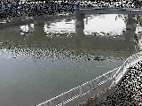 堀割川 堀割川付近のカメラ画像