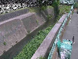 日野川 笹野橋付近のカメラ画像
