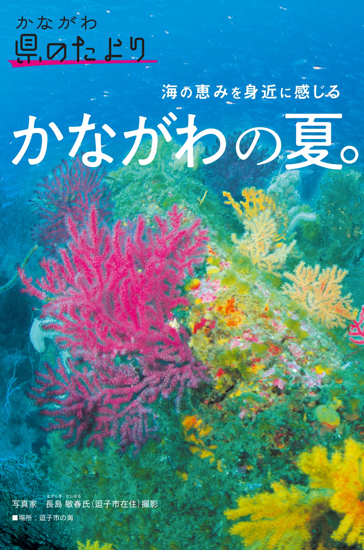 「海の恵みを身近に感じる かながわの夏。