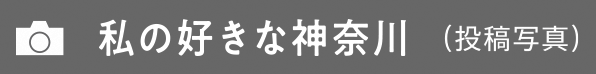 私の好きな神奈川（投稿写真）