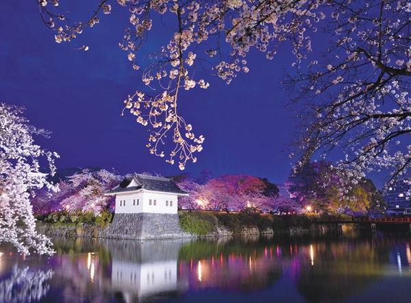 令和5年4月号掲載「城址の夜桜」