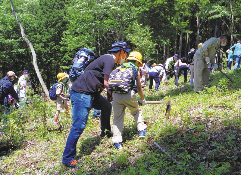 緑の祭典 in さがみはら