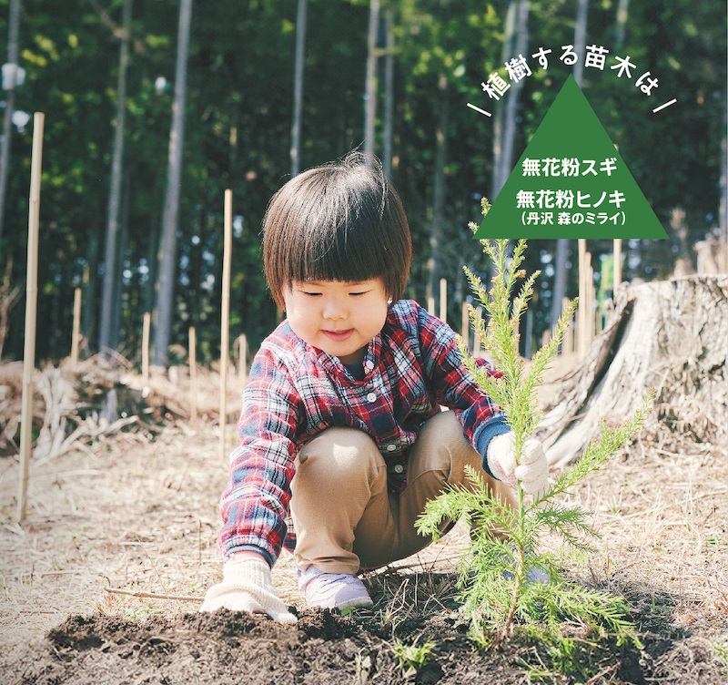 植樹する苗木は無花粉スギ 無花粉ヒノキ（丹沢 森のミライ）