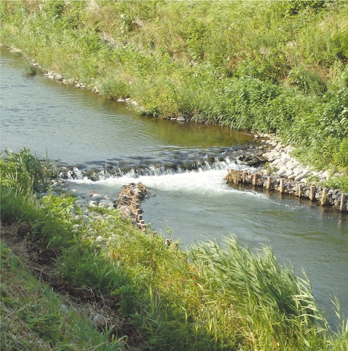 整備後の河川