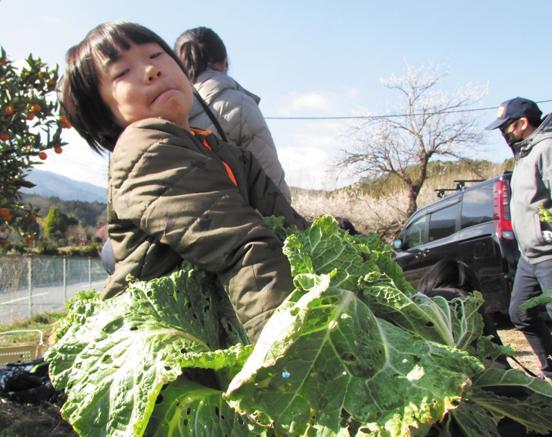 県立ふれあいの村