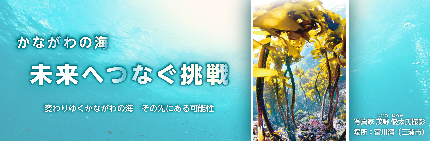 かながわの海&emsp;未来へつなぐ挑戦