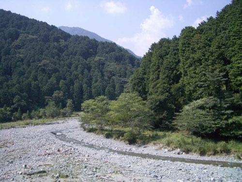 やどりき水源林写真