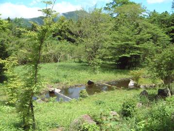 観察小屋から覗いた野鳥の森の池の写真