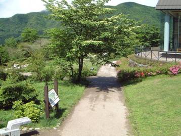 自然学習歩道の一部、花と昆虫の広場の写真