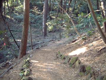 写真：番場浦遊歩道の風景