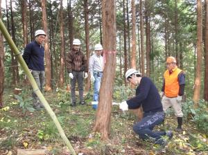 間伐作業の様子1画像