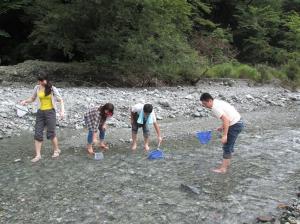 水生生物観察の様子画像