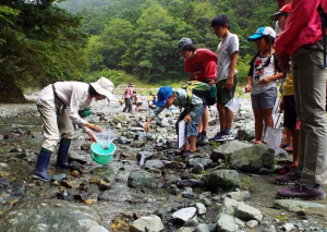 水生生物観察1